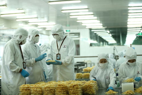 檢測服務為翼，助力山東即墨企業振翅高飛